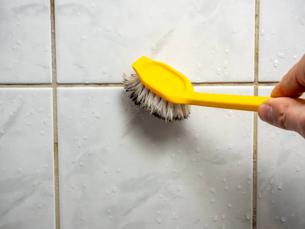 Best Emergency Mold Removal  in Ofallon, MO