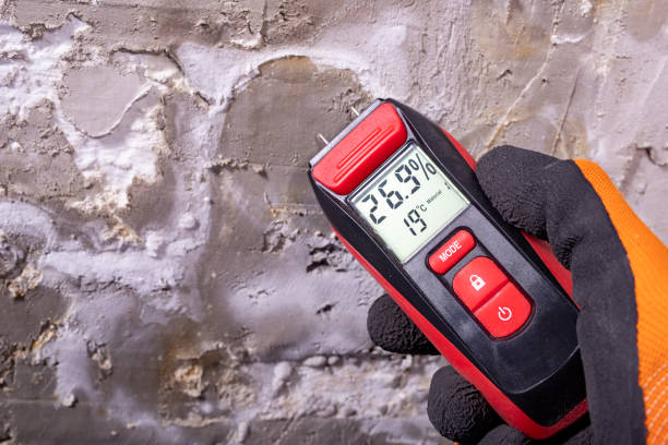 Best Mold Remediation  in Ofallon, MO